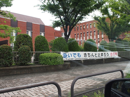 P8050245