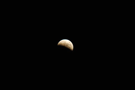 DSC_0459