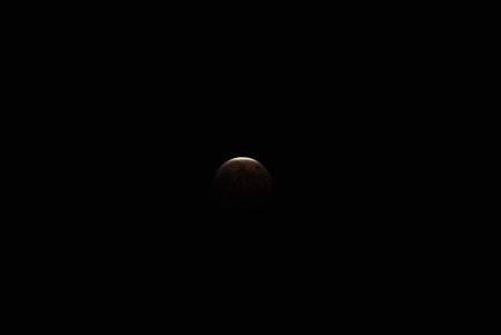DSC_0464