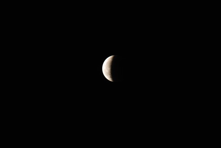 DSC_0477