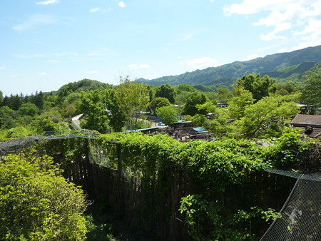 P1120285