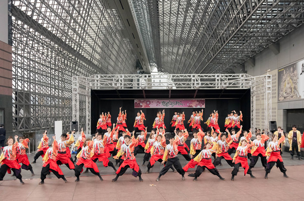 京都さくらよさこい2016 和歌山大学よさこいサークル「和歌乱」