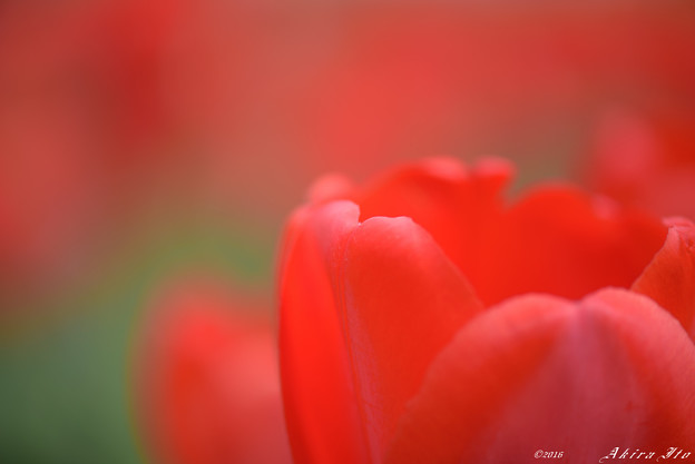 D75_1219