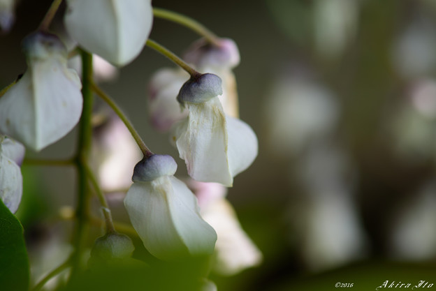 D75_1356