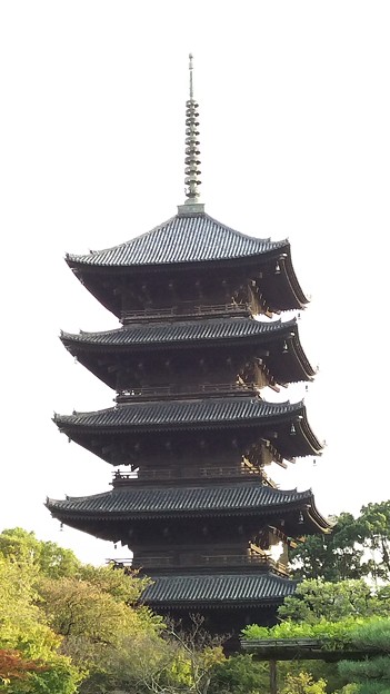 写真: 7