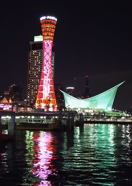 写真: 13