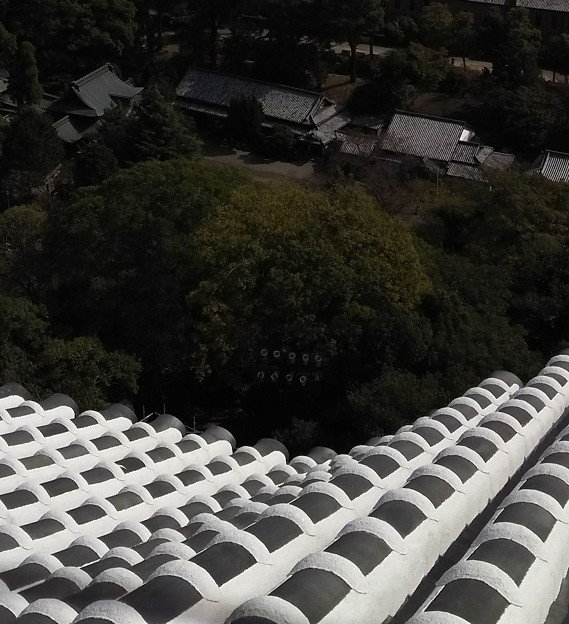 写真: 14