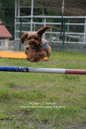 jump!!!!