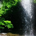 Photos: 裏見の滝
