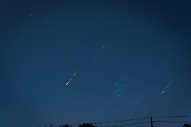 DSC_2878
