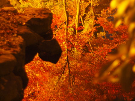 水面に映る紅葉