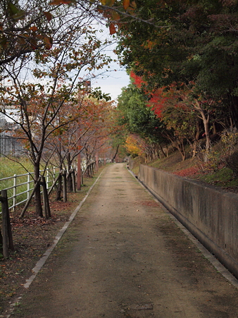 道