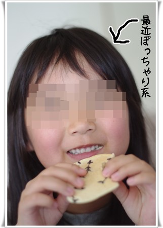 IMGP8958-1