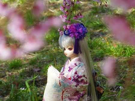 しだれ桜