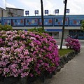 2011/5/8 竹島水族館