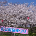 2014/03/26　長崎市立山公園　桜