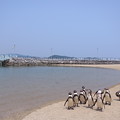 2014/6/8 長崎ペンギン水族館