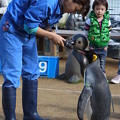 2014/11/29 長崎ペンギン水族館