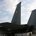 Photos: F15J垂直尾翼
