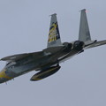 Photos: F-15　６０Anniversary