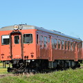 いすみ鉄道 臨時急行3号 (キハ52 125)