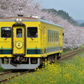 いすみ鉄道 普通列車 10D