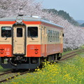 いすみ鉄道 普通列車 9D (キハ20 1303)