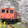 いすみ鉄道 普通列車 513D (キハ52 125 + キハ28 2346)