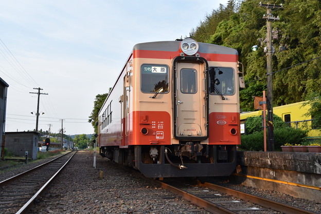 Photos: いすみ鉄道 普通列車 50D (キハ20 1303)