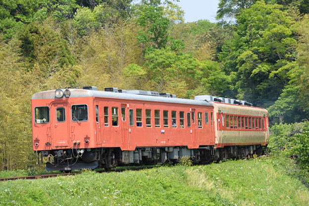 Photos: いすみ鉄道 普通列車 103D