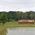 いすみ鉄道 普通列車 54D (キハ20 1303)