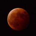 Photos: 紅い月
