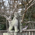 Photos: 一之宮貫前神社（富岡市）狛犬