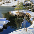 Photos: 雪の玉泉院丸庭園