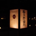 Photos: 奈良燈花会2014（春日野園地）