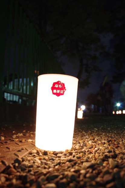 Photos: 奈良燈花会2014（灯人の力）